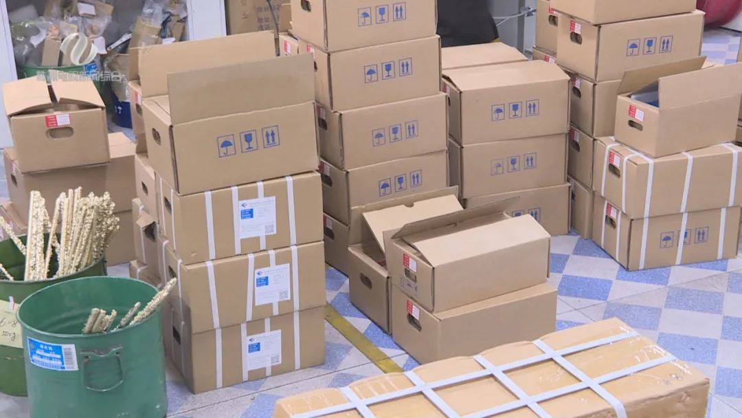 這批“株洲造”及時發往俄羅斯，竟有意想不到的收獲！(圖4)